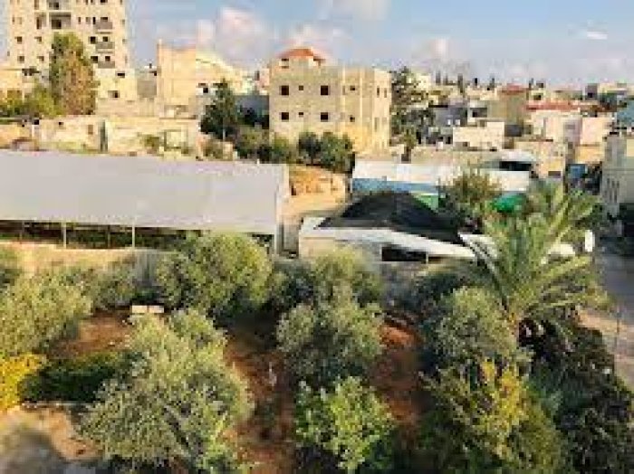 حَبْلَة- من قرى طولكرم سابقاً  | موسوعة القرى الفلسطينية