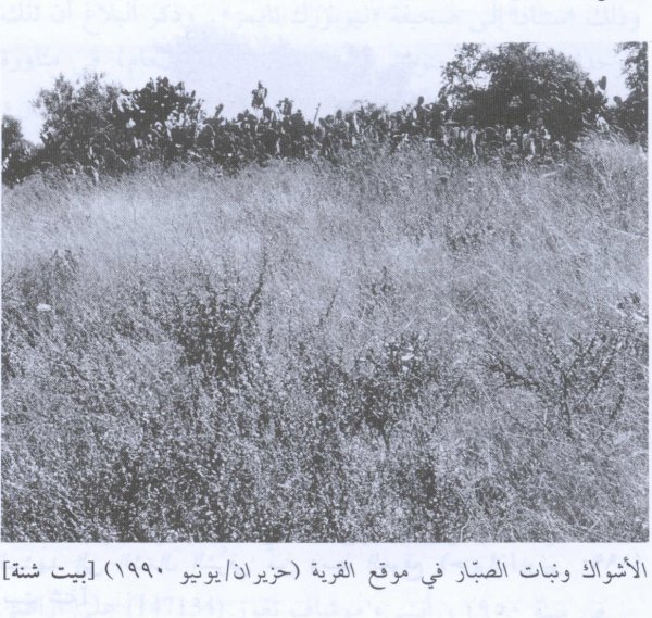  | موسوعة القرى الفلسطينية