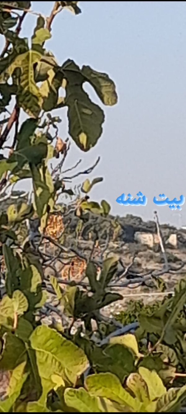  | موسوعة القرى الفلسطينية