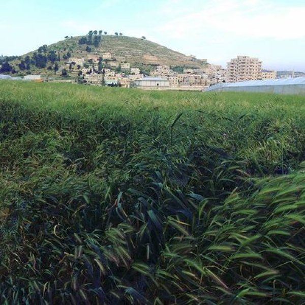 خربة الهجرة / دورا