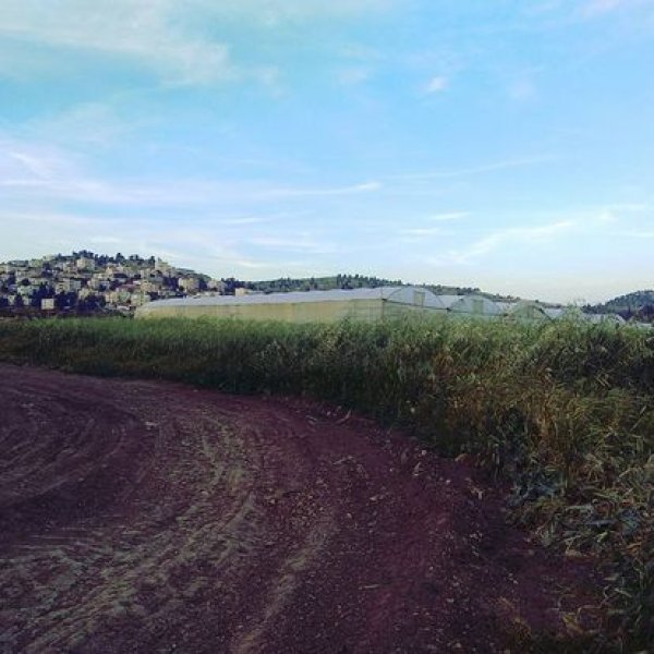 خربة الهجرة / دورا