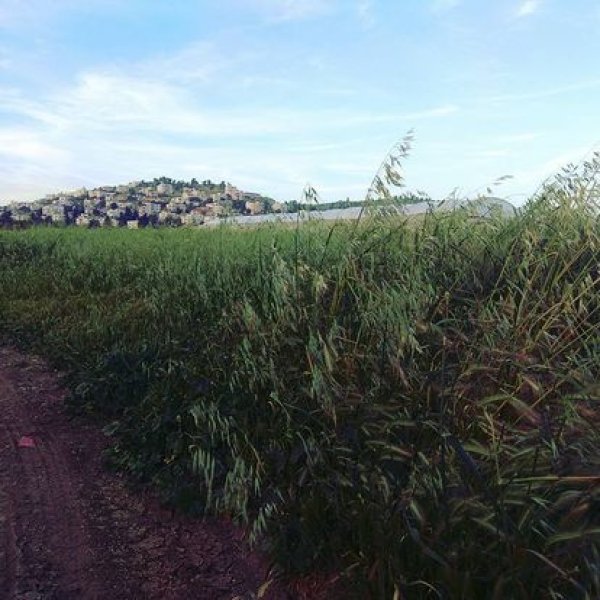 خربة الهجرة / دورا