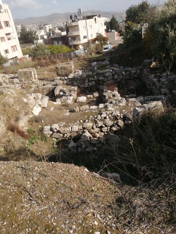 تل بلاطة الثري / نابلس