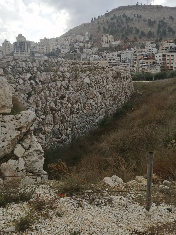 تل بلاطة الثري / نابلس