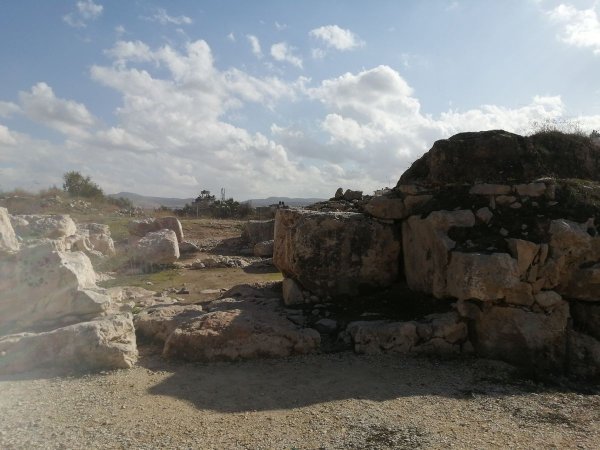 تل بلاطة الثري / نابلس