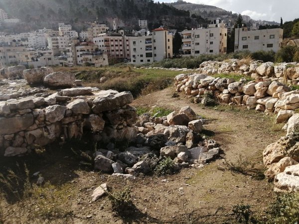 تل بلاطة الثري / نابلس