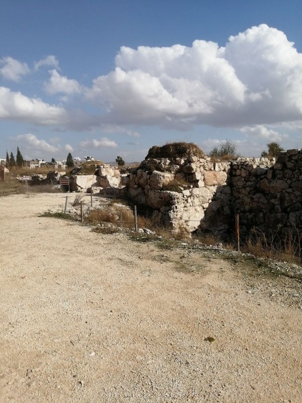 تل بلاطة الثري / نابلس