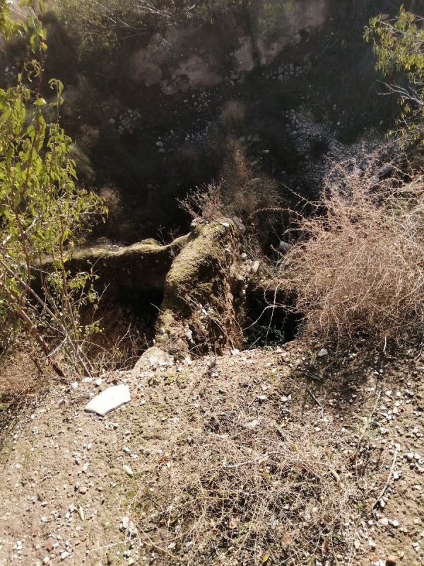 تل بلاطة الثري / نابلس