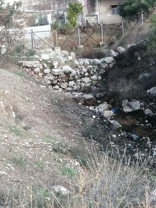 تل بلاطة الثري / نابلس