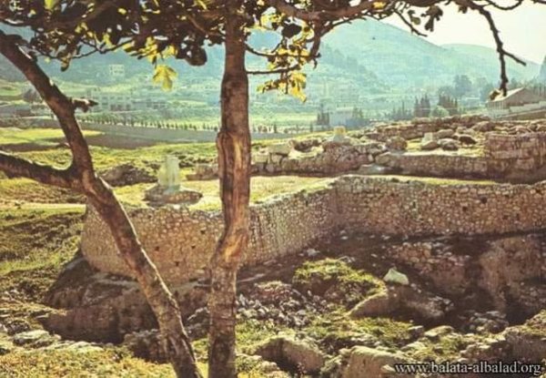 قرية بلاطة / نابلس