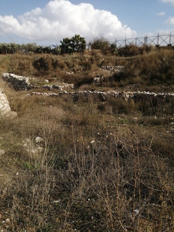 تل بلاطة الثري / نابلس