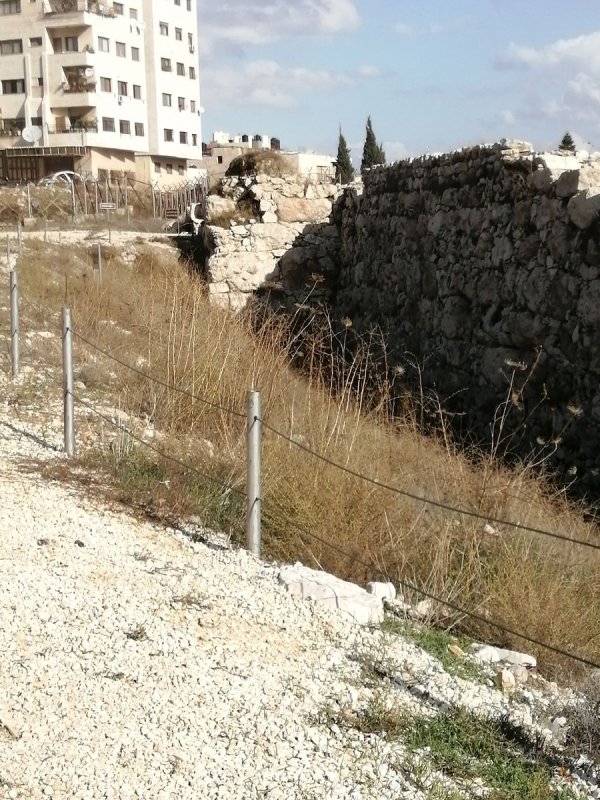 تل بلاطة الثري / نابلس