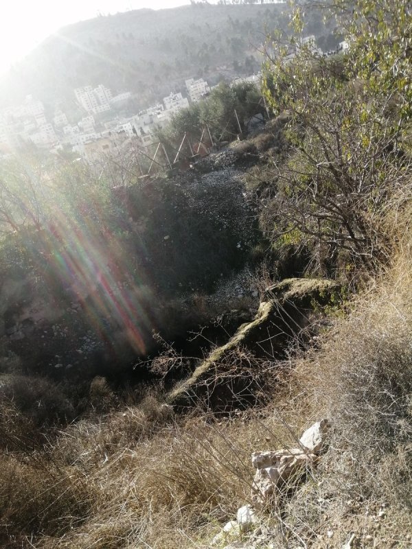 تل بلاطة الثري / نابلس