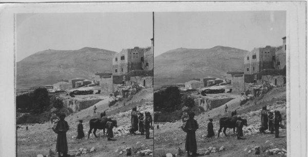 قرية بلاطة / نابلس