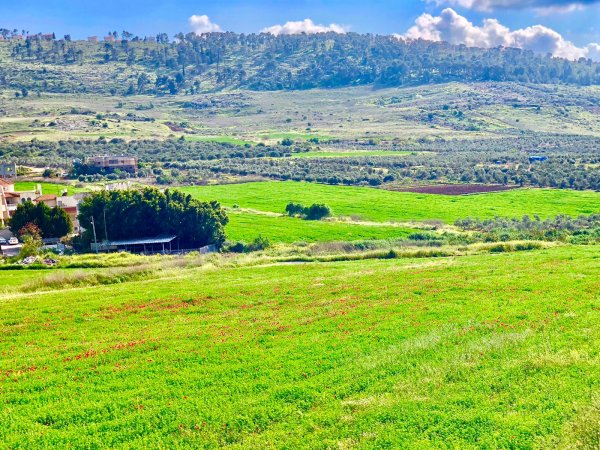  | موسوعة القرى الفلسطينية