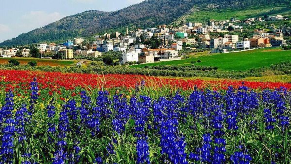  | موسوعة القرى الفلسطينية