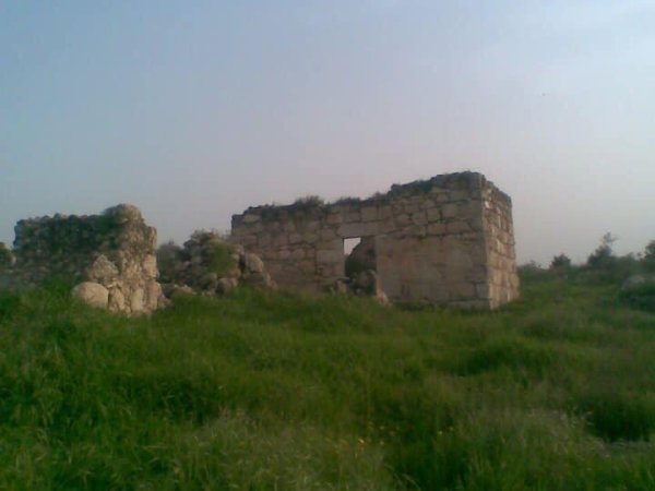 قرية الكنيسة / الرملة