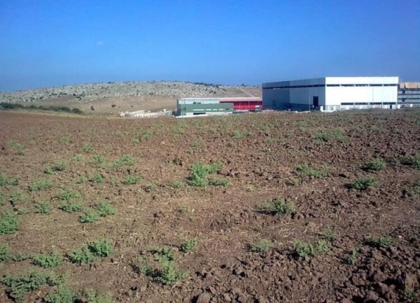 قرية الكنيسة / الرملة