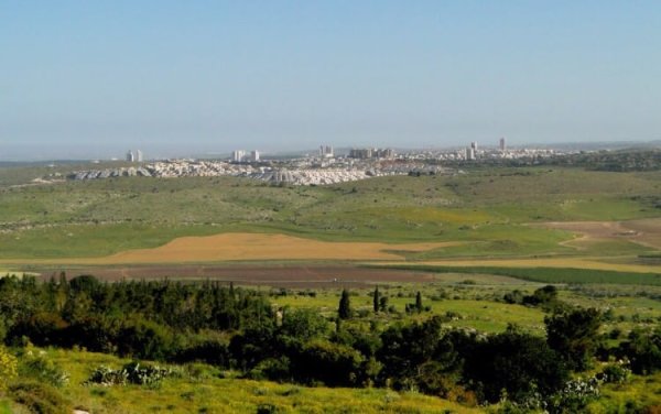 قرية البويرة / الرملة