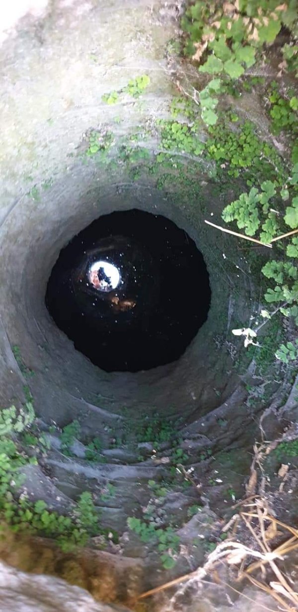 قرية البويرة / الرملة