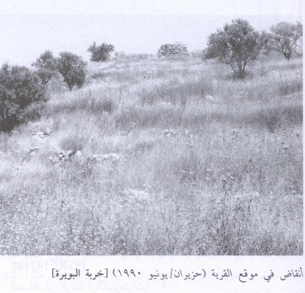 قرية البويرة / الرملة