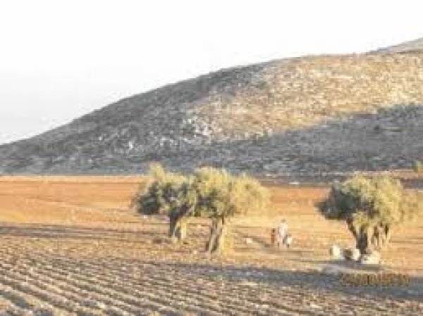  | موسوعة القرى الفلسطينية