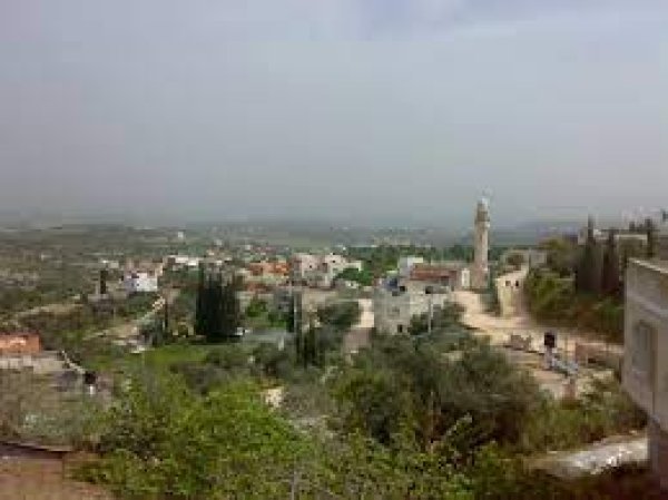 قرية الطرم أو خربة الطرم شمالي مدينة يعبد غربي جنين