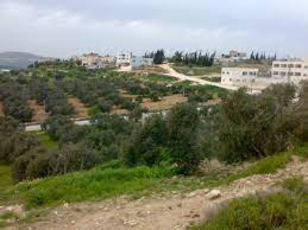 قرية الطرم أو خربة الطرم شمالي مدينة يعبد غربي جنين