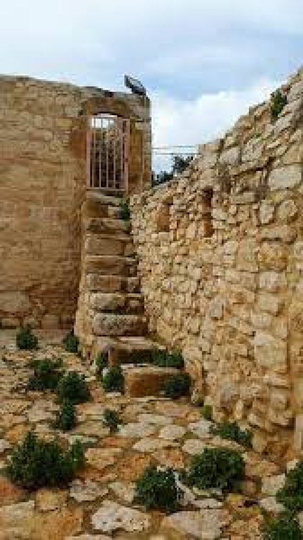  | موسوعة القرى الفلسطينية