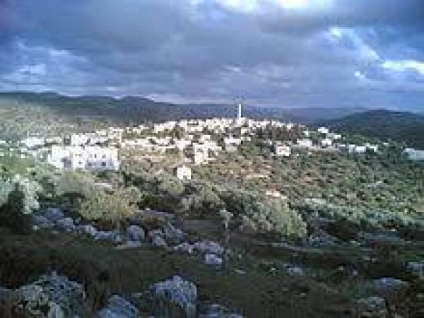  | موسوعة القرى الفلسطينية