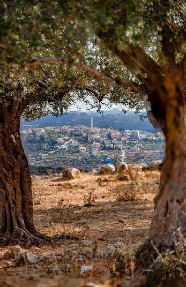  | موسوعة القرى الفلسطينية