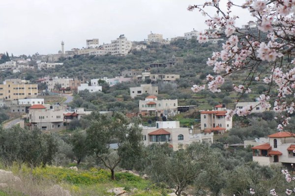 أراضي القرية/كفر الديك