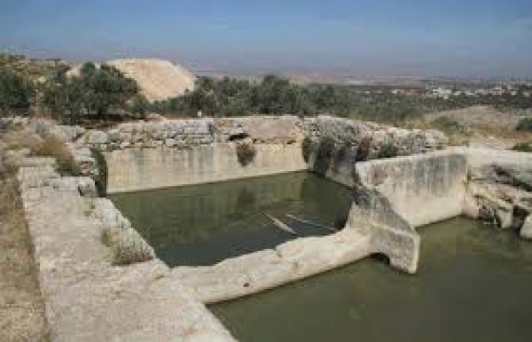 برك الماء/كفر الديك