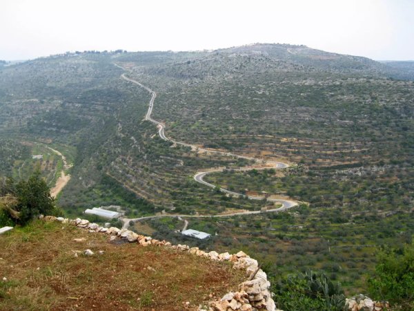 أراضي القرية/كفر الديك