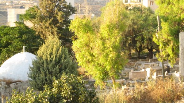 مقبرة القرية/كفر الديك