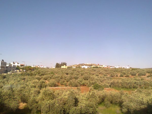 أراضي القرية/كفر الديك