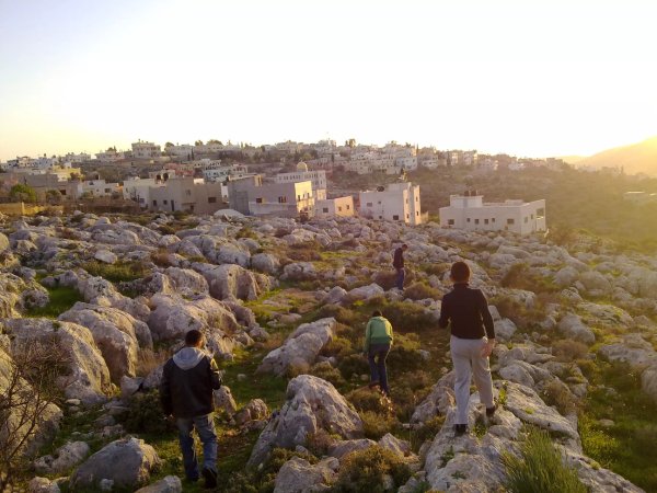 أراضي القرية/كفر الديك