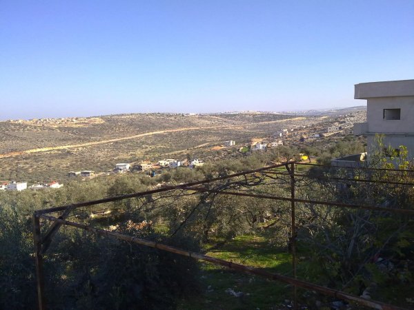 أراضي القرية/كفر الديك