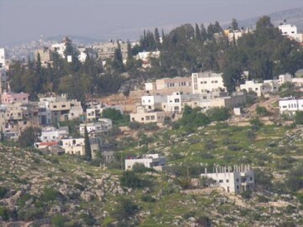 أراضي القرية/كفر الديك