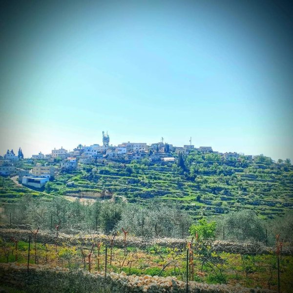 صور من قرية فرخة بعدسة: Ibrahim Zarour