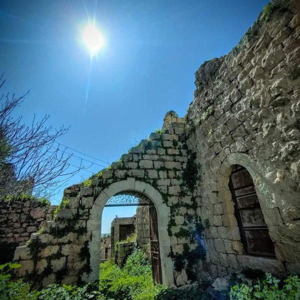 صور من قرية فرخة بعدسة: Ibrahim Zarour