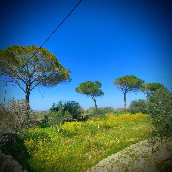 صور من قرية فرخة بعدسة: Ibrahim Zarour