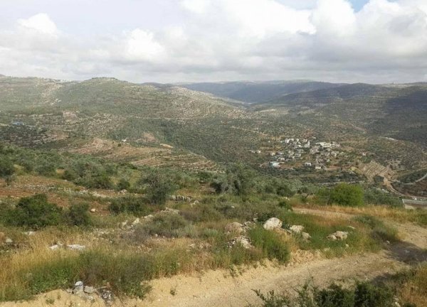 صور حديثة لقرية فرخة- سلفيت