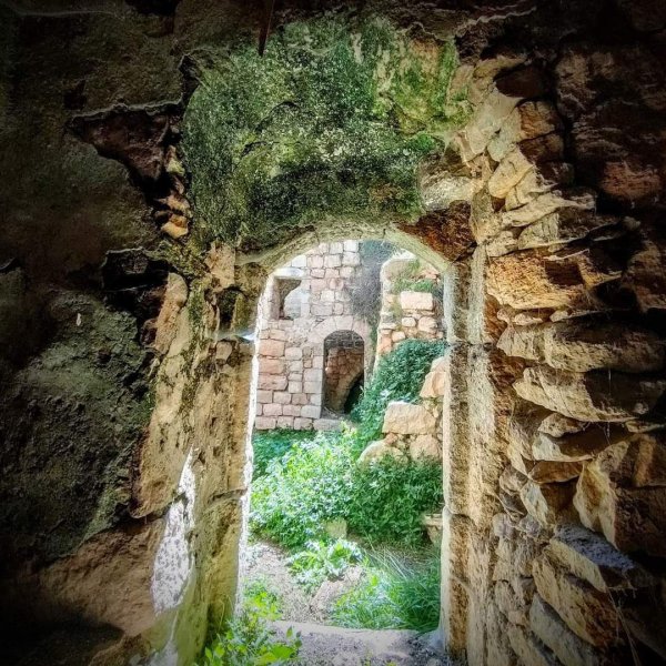 صور من قرية فرخة بعدسة: Ibrahim Zarour