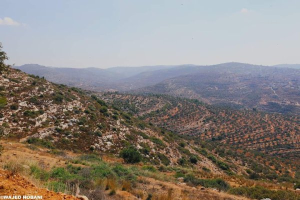 صور من المباني القديمة في قرية فرخة بعدسة: واجد النوباني