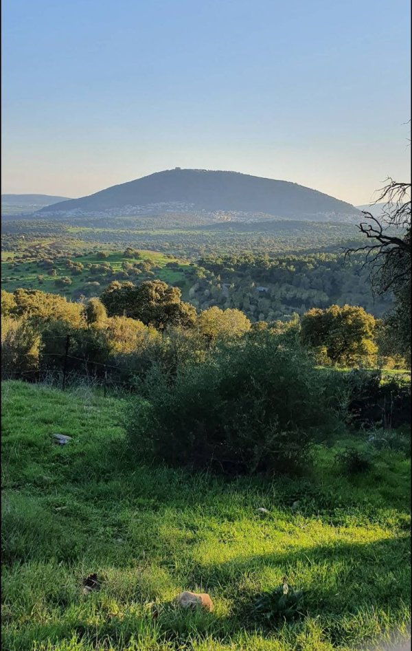  | موسوعة القرى الفلسطينية
