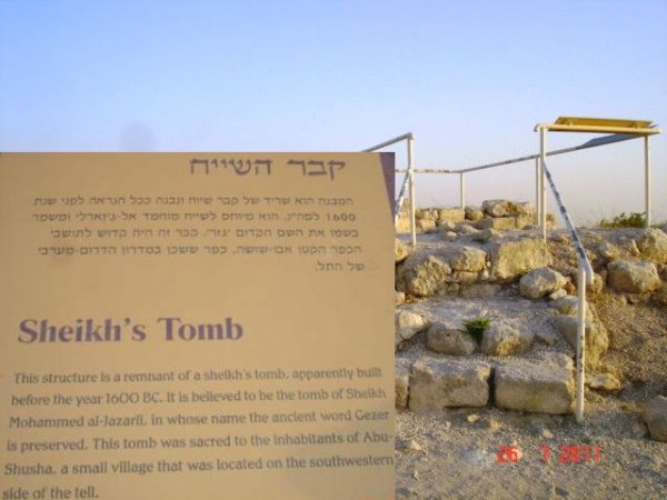 قبر الشيخ محمد في أبو شوشة