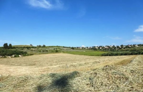 موقع القرية وأراضيها، نقلاً عن موقع فلسطين في الذاكرة