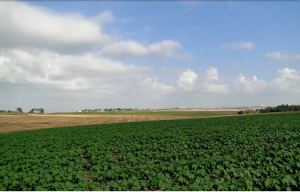 موقع القرية وأراضيها، نقلاً عن موقع فلسطين في الذاكرة