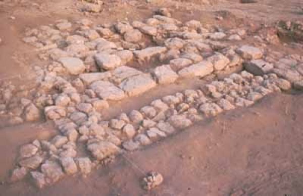 آثار أبو شوشة قضاء الرملة الباقية في أراضي القرية